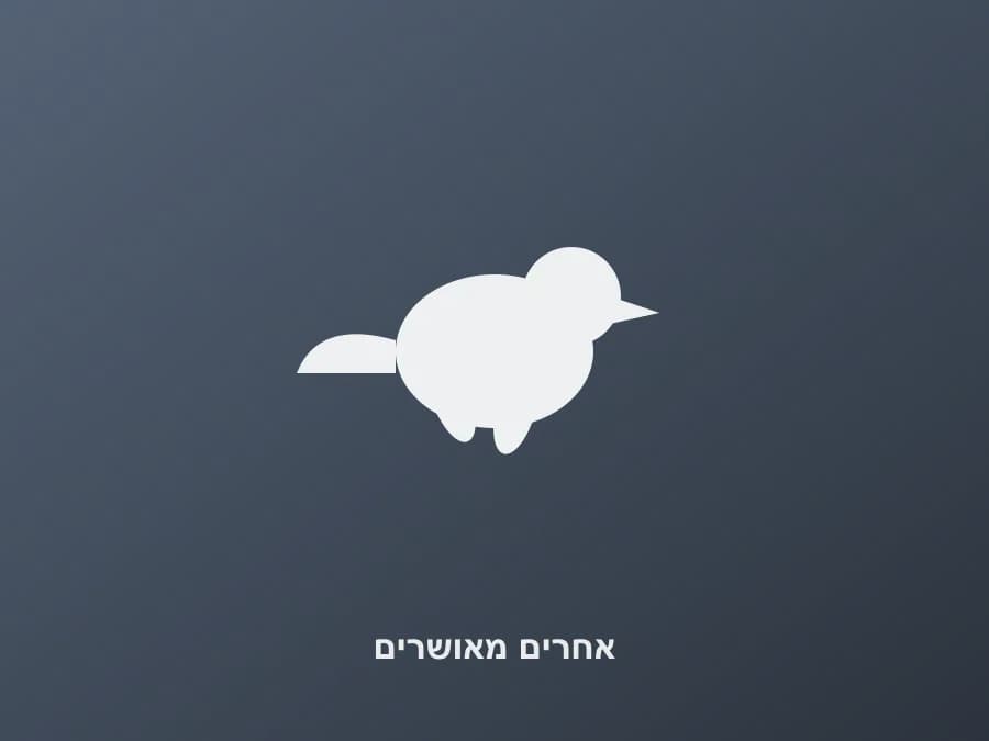 טוראקו שאלו — טוראקו שאלו