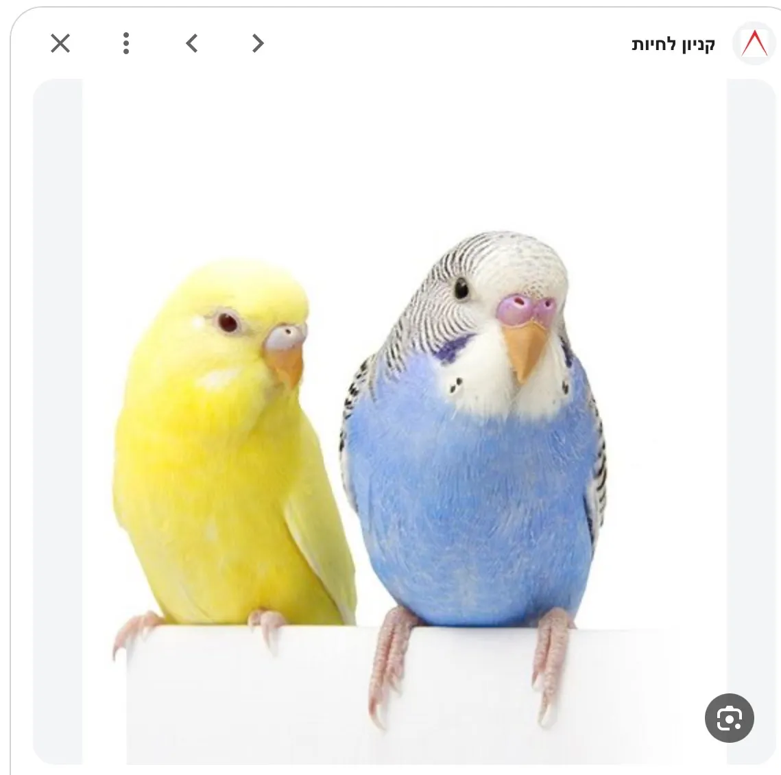 תוכון — תוכון